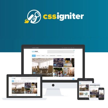 CSS Igniter WordPress Theme