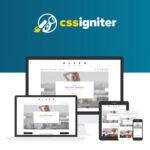 MOST POPULAR CSS Igniter Olsen WordPress Theme 2024