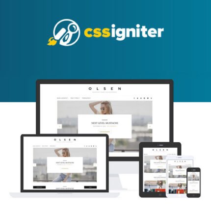 MOST POPULAR CSS Igniter Olsen WordPress Theme 2024