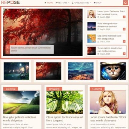 Repose WordPress Theme 2024