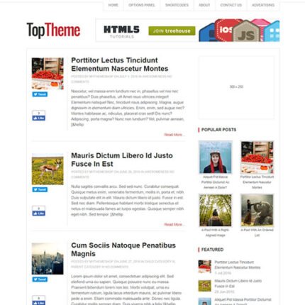 Top WordPress Theme