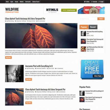 wildfire wordpress theme