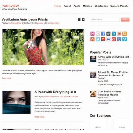 Pureview WordPress Theme