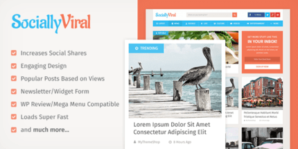 SociallyViral WordPress Theme