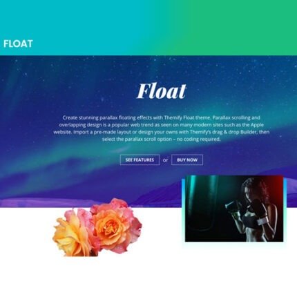 Themify WordPress Theme