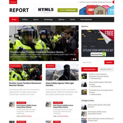 Report WordPress Theme