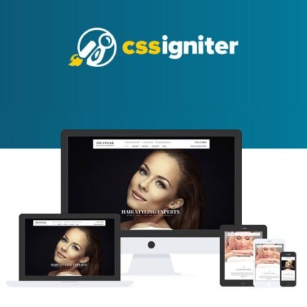 NEW CSS Igniter The Styler WordPress Theme 2024