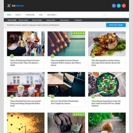NEW MyThemeShop Ad-Sense WordPress Theme 2024