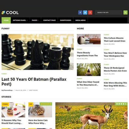 Cool WordPress Theme