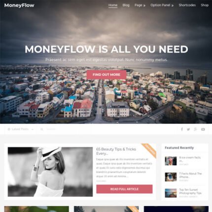 MoneyFlow WordPress Theme