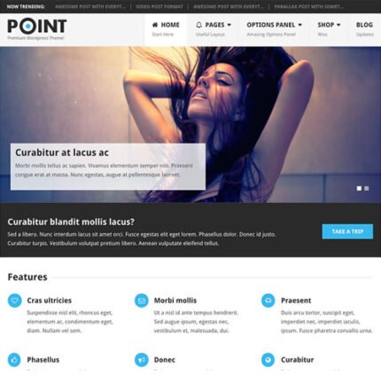 Point Pro WordPress Theme