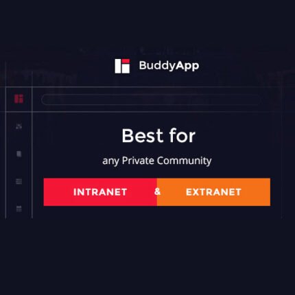 NEW BuddyApp – Mobile First Community WordPress Theme 2024