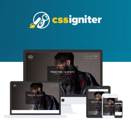 NEW CSS Igniter Hugo Woocommerce Theme 2024