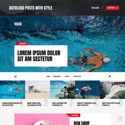 MyThemeShop Risen WordPress Theme 2024