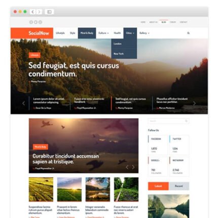 MyThemeShop SocialNow WordPress Theme 2024