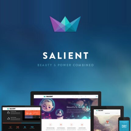 NEW Salient – Responsive Multi-Purpose Theme