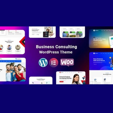 NEW Consua – Business Consulting WordPress 2024