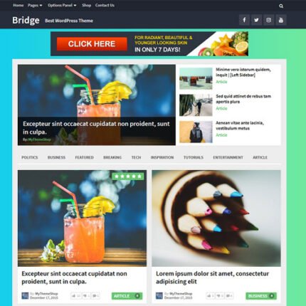 MyThemeShop Bridge WordPress Theme 2ER