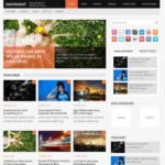 MyThemeShop Daynight