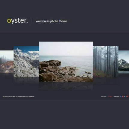 Oyster – Creative Photo
