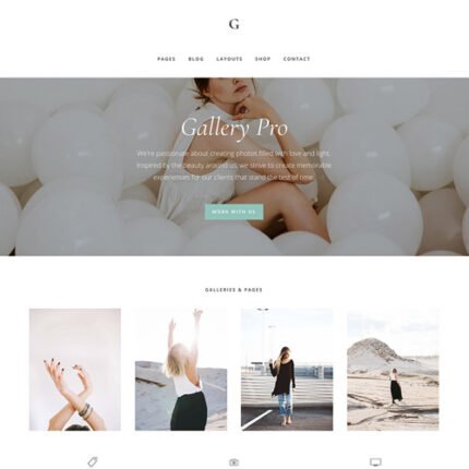 StudioPress Gallery Pro Genesis WordPress Theme