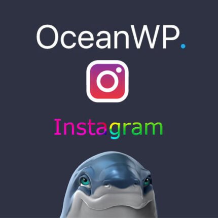 OceanWP Instagram plugin